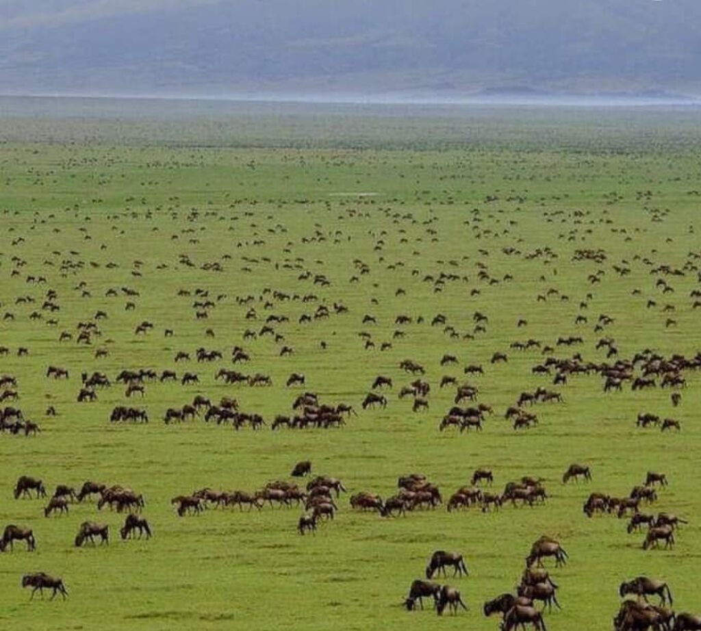 TOURISM - AFRICA IS A PARADISE
