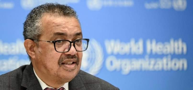 WHO CONFIRMS THAT TEDROS ADHANOM GHEBREYESUS IS THE ONLY CANDIDATE NOMINATED FOR DIRECTOR-GENERAL ELECTION 