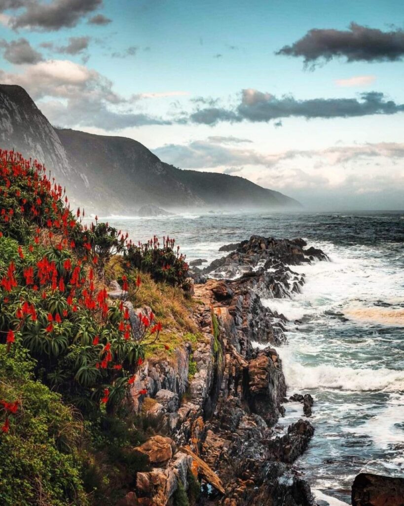 SOUTH AFRICAN TOURISM - TSITSIKAMMA