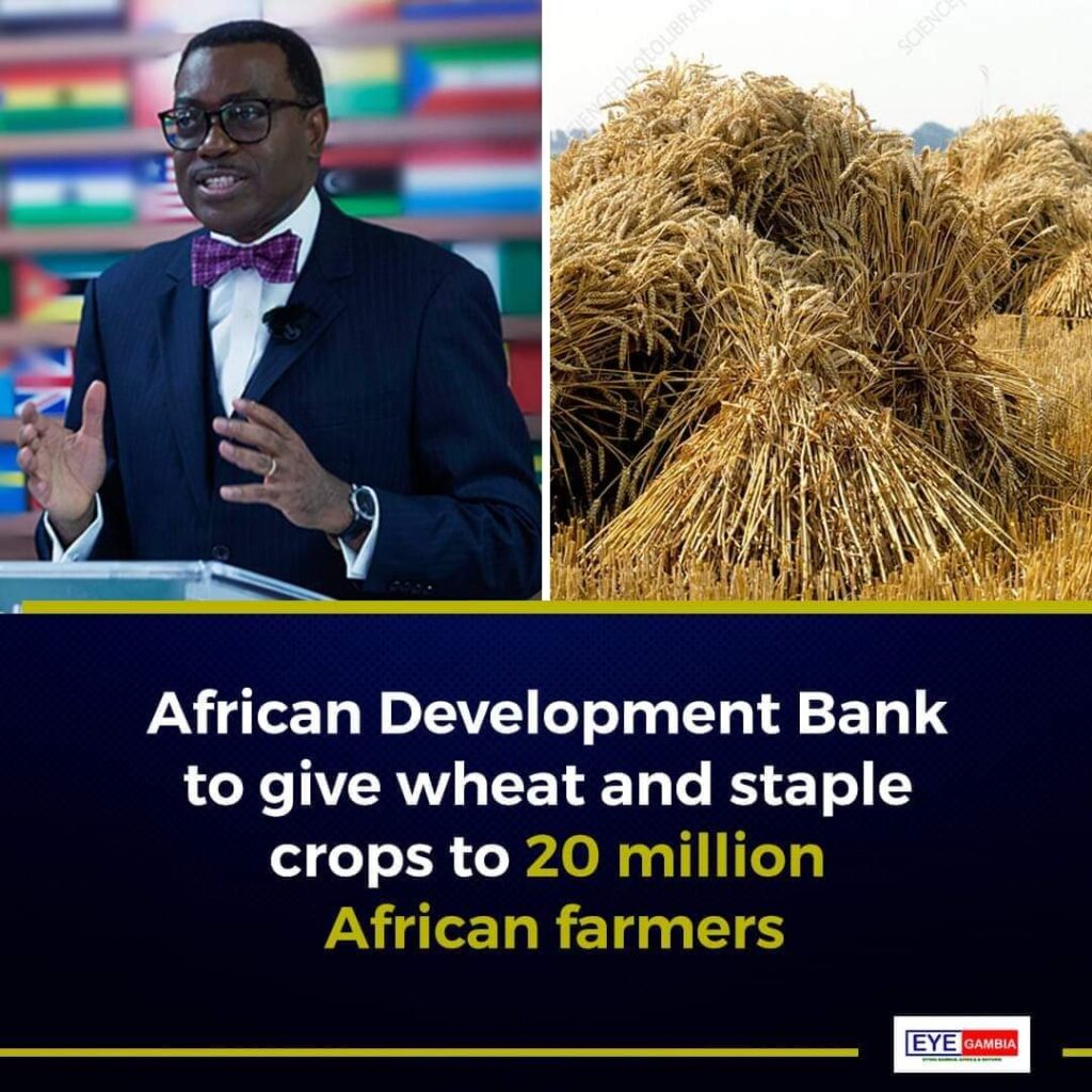 President, Dr. Akinwunmi Adesina announced the readiness of AFDB to embark on a mission to reach out to 20 million farmers in Africa