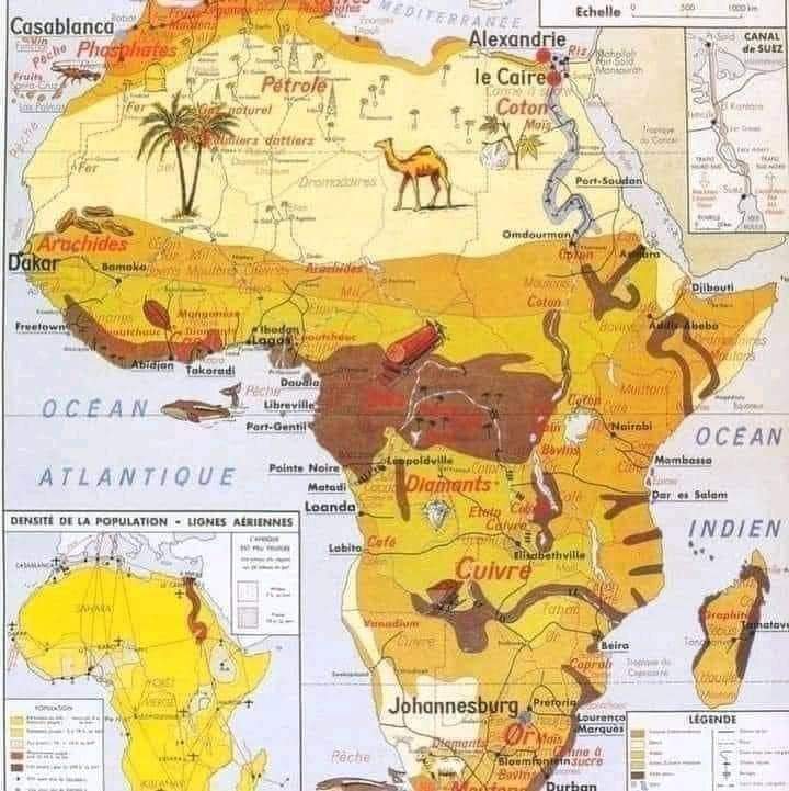 Africa is the future of humanity