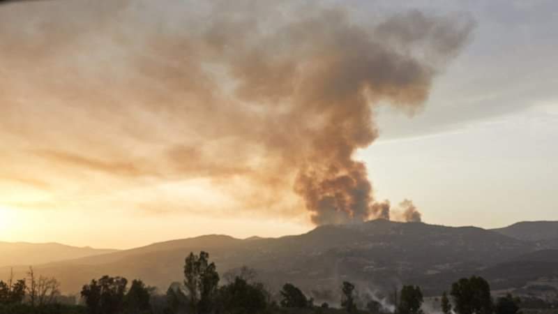 Wildfires have killed at least 37 people and injured dozens more across Algeria