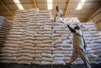 The World Food Programme (WFP) 