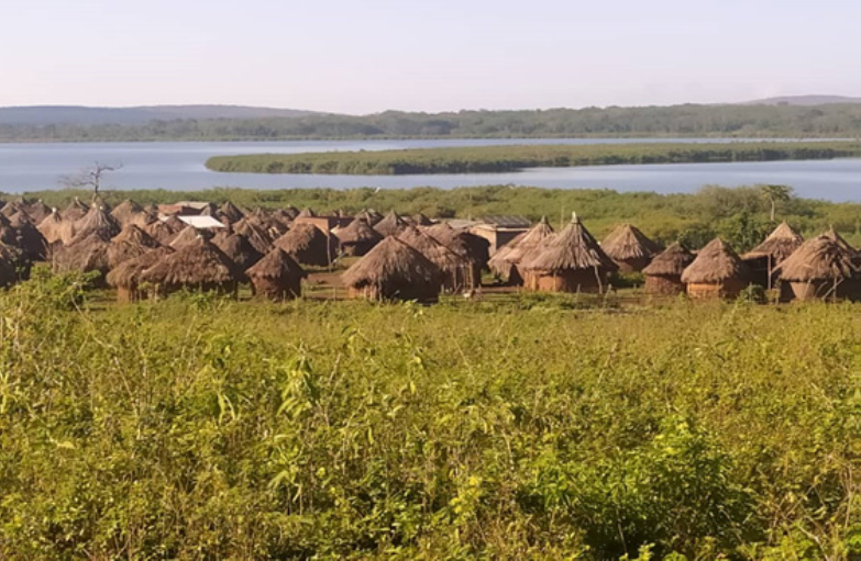 Uganda's Green Safari: A Blueprint for Sustainable Tourism in Africa
